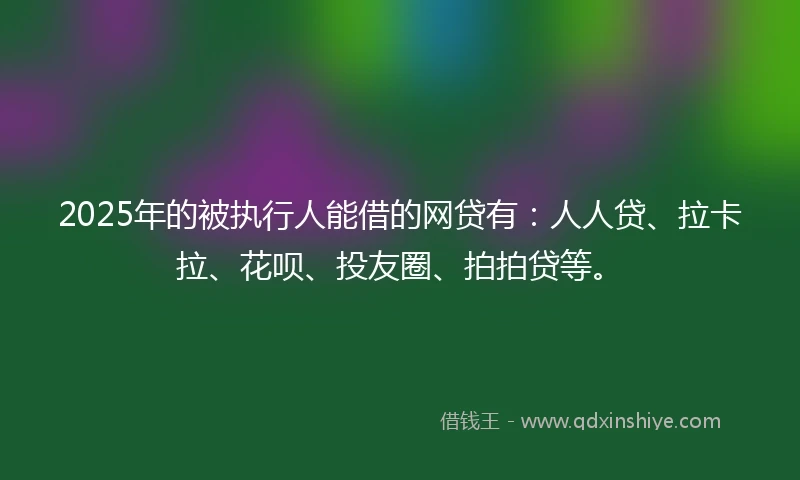 2025年的被执行人能借的网贷有：人人贷、拉卡拉、花呗、投友圈、拍拍贷等。