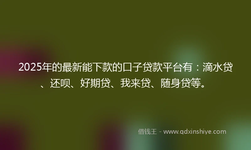 2025年的最新能下款的口子贷款平台有：滴水贷、还呗、好期贷、我来贷、随身贷等。