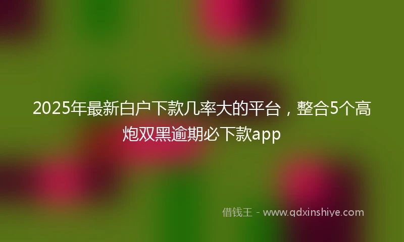 2025年最新白户下款几率大的平台，整合5个高炮双黑逾期必下款app