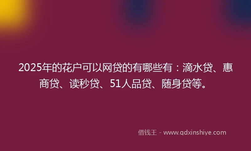 2025年的花户可以网贷的有哪些有：滴水贷、惠商贷、读秒贷、51人品贷、随身贷等。
