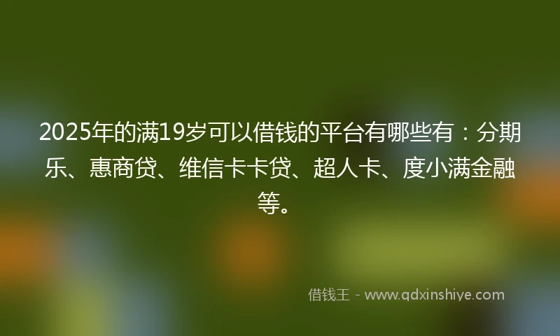 2025年的满19岁可以借钱的平台有哪些有：分期乐、惠商贷、维信卡卡贷、超人卡、度小满金融等。