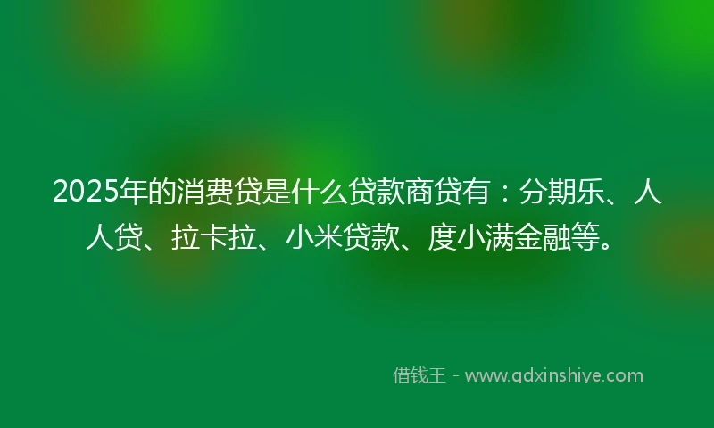 2025年的消费贷是什么贷款商贷有：分期乐、人人贷、拉卡拉、小米贷款、度小满金融等。