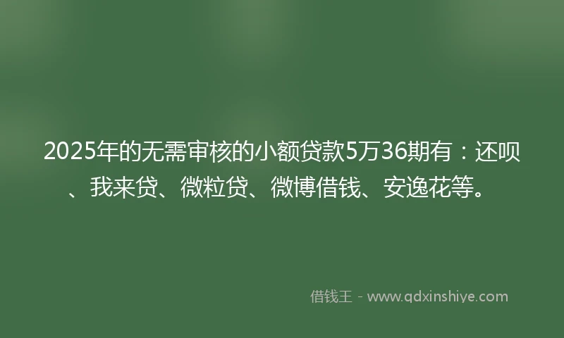 2025年的无需审核的小额贷款5万36期有：还呗、我来贷、微粒贷、微博借钱、安逸花等。