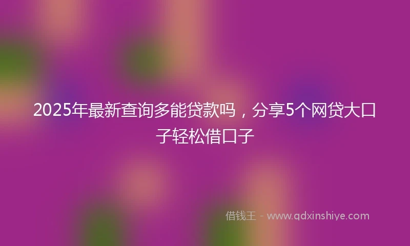 2025年最新查询多能贷款吗，分享5个网贷大口子轻松借口子