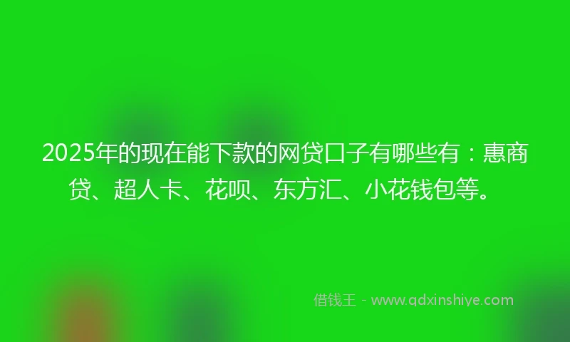 2025年的现在能下款的网贷口子有哪些有：惠商贷、超人卡、花呗、东方汇、小花钱包等。