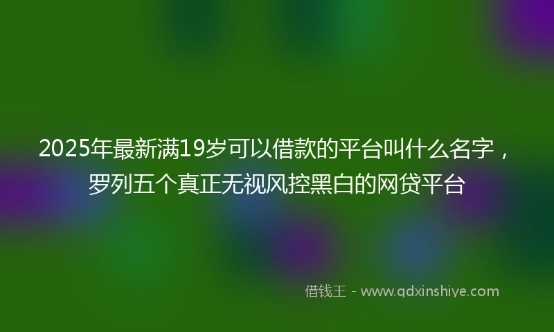 2025年最新满19岁可以借款的平台叫什么名字，罗列五个真正无视风控黑白的网贷平台