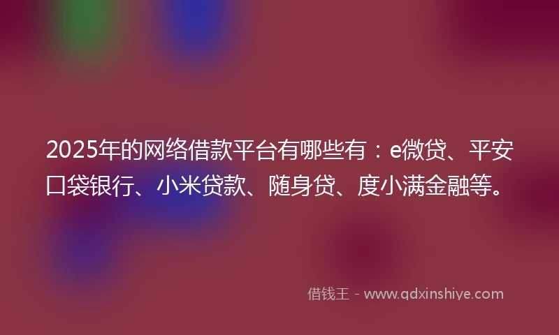 2025年的网络借款平台有哪些有：e微贷、平安口袋银行、小米贷款、随身贷、度小满金融等。