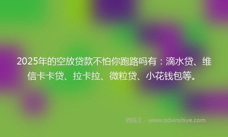 2025年的空放贷款不怕你跑路吗有：滴水贷、维信卡卡贷、拉卡拉、微粒贷、小花钱包等。
