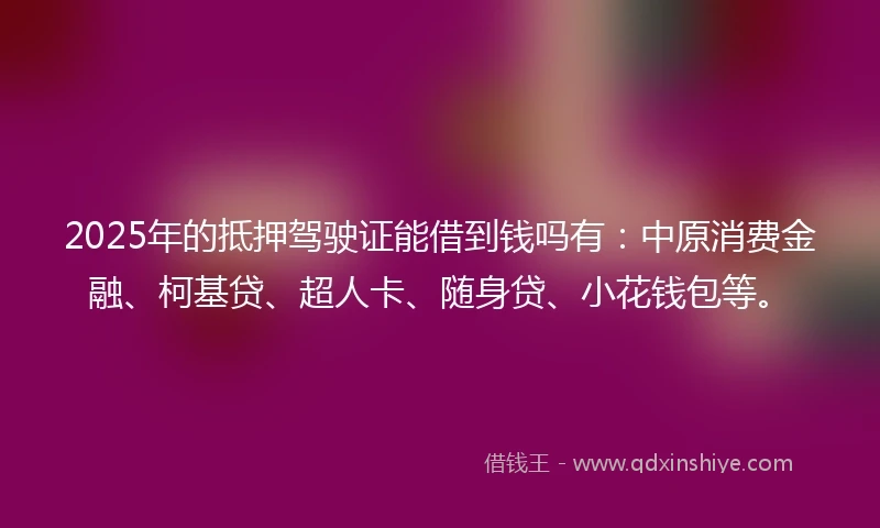 2025年的抵押驾驶证能借到钱吗有：中原消费金融、柯基贷、超人卡、随身贷、小花钱包等。