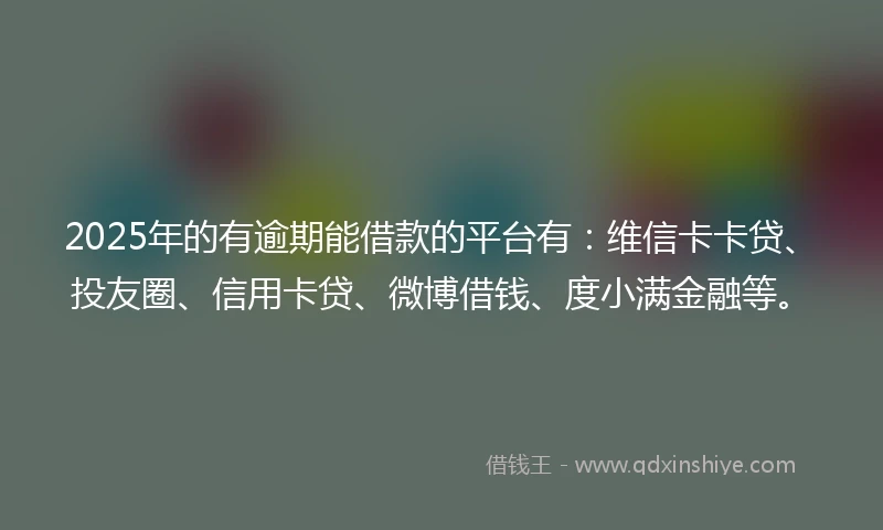 2025年的有逾期能借款的平台有：维信卡卡贷、投友圈、信用卡贷、微博借钱、度小满金融等。