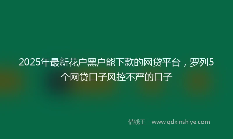 2025年最新花户黑户能下款的网贷平台，罗列5个网贷口子风控不严的口子