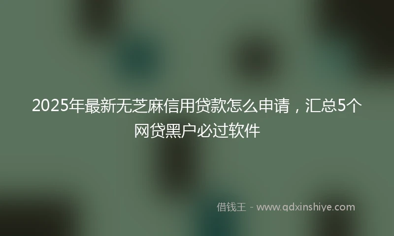 2025年最新无芝麻信用贷款怎么申请，汇总5个网贷黑户必过软件