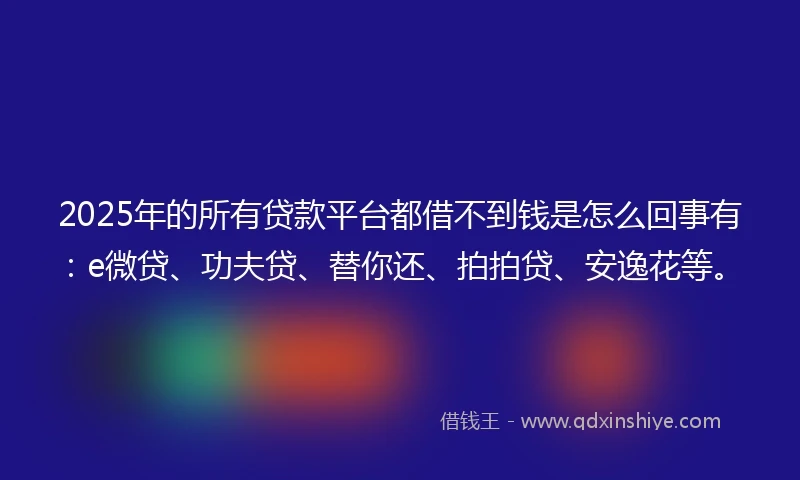 2025年的所有贷款平台都借不到钱是怎么回事有：e微贷、功夫贷、替你还、拍拍贷、安逸花等。