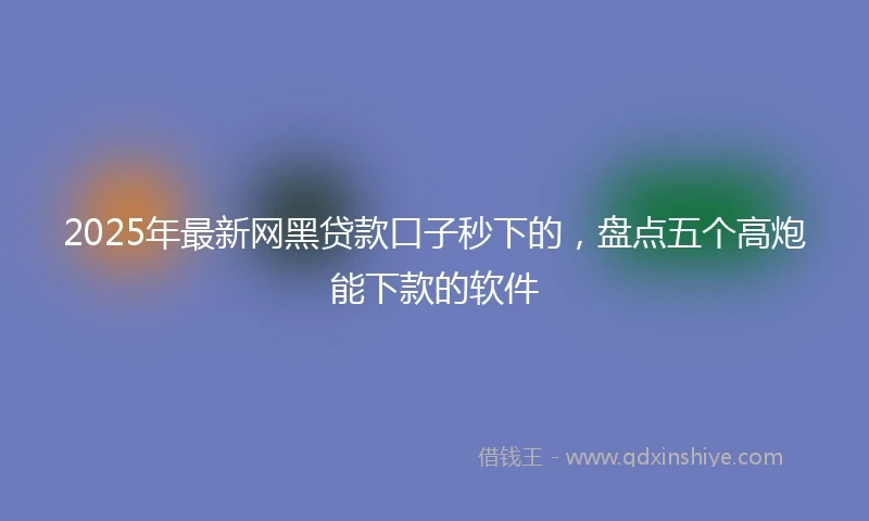 2025年最新网黑贷款口子秒下的，盘点五个高炮能下款的软件
