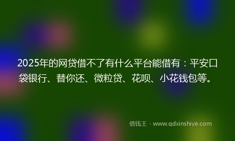 2025年的网贷借不了有什么平台能借有：平安口袋银行、替你还、微粒贷、花呗、小花钱包等。