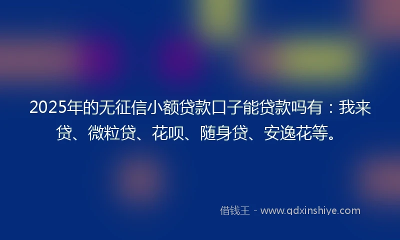 2025年的无征信小额贷款口子能贷款吗有：我来贷、微粒贷、花呗、随身贷、安逸花等。