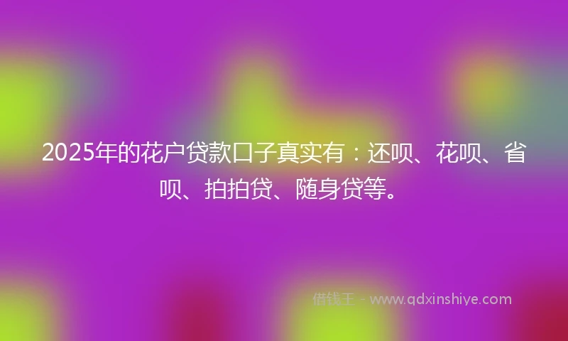 2025年的花户贷款口子真实有：还呗、花呗、省呗、拍拍贷、随身贷等。