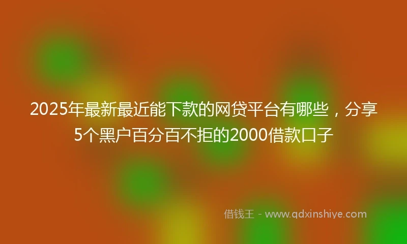 2025年最新最近能下款的网贷平台有哪些，分享5个黑户百分百不拒的2000借款口子