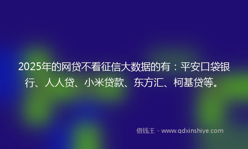 2025年的网贷不看征信大数据的有：平安口袋银行、人人贷、小米贷款、东方汇、柯基贷等。