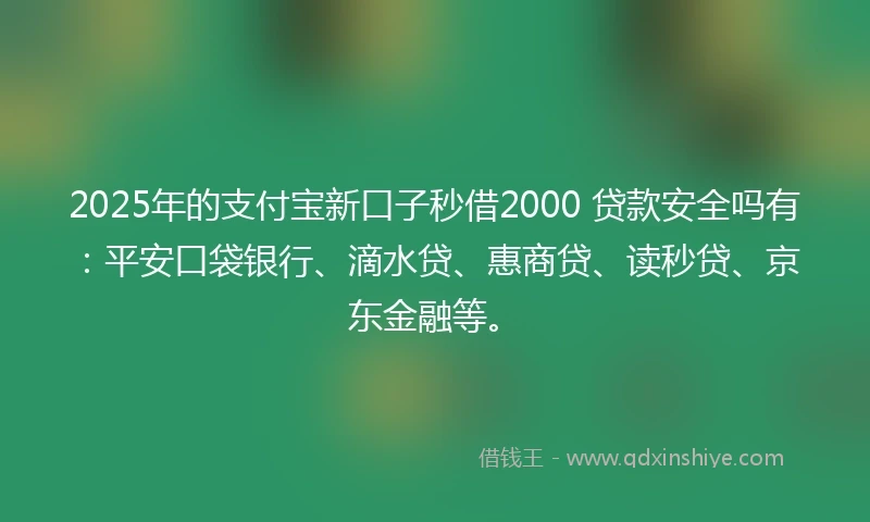 2025年的支付宝新口子秒借2000 贷款安全吗有：平安口袋银行、滴水贷、惠商贷、读秒贷、京东金融等。