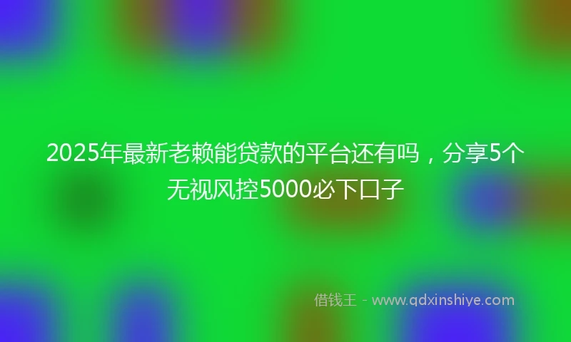 2025年最新老赖能贷款的平台还有吗，分享5个无视风控5000必下口子