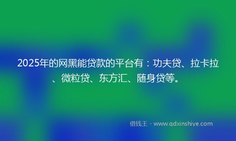 2025年的网黑能贷款的平台有：功夫贷、拉卡拉、微粒贷、东方汇、随身贷等。