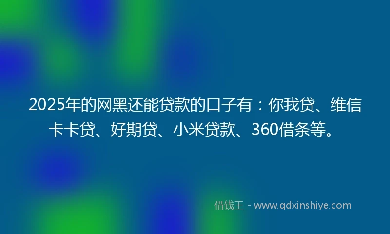 2025年的网黑还能贷款的口子有：你我贷、维信卡卡贷、好期贷、小米贷款、360借条等。