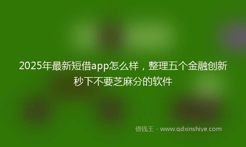 2025年最新短借app怎么样，整理五个金融创新秒下不要芝麻分的软件