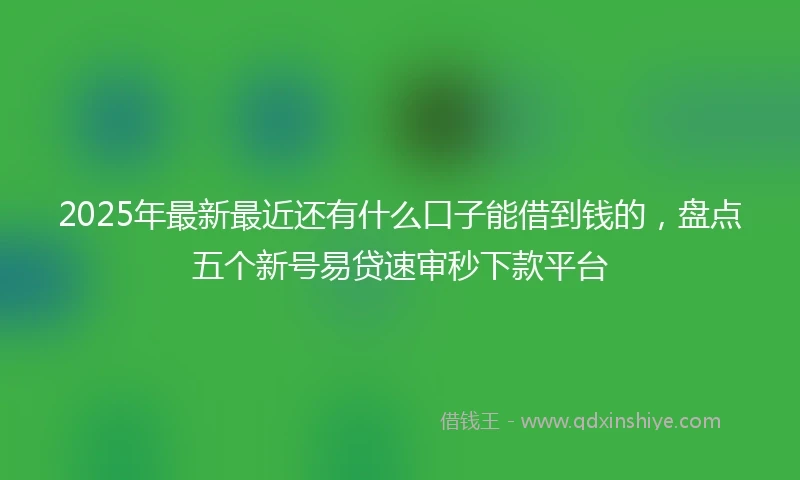 2025年最新最近还有什么口子能借到钱的，盘点五个新号易贷速审秒下款平台