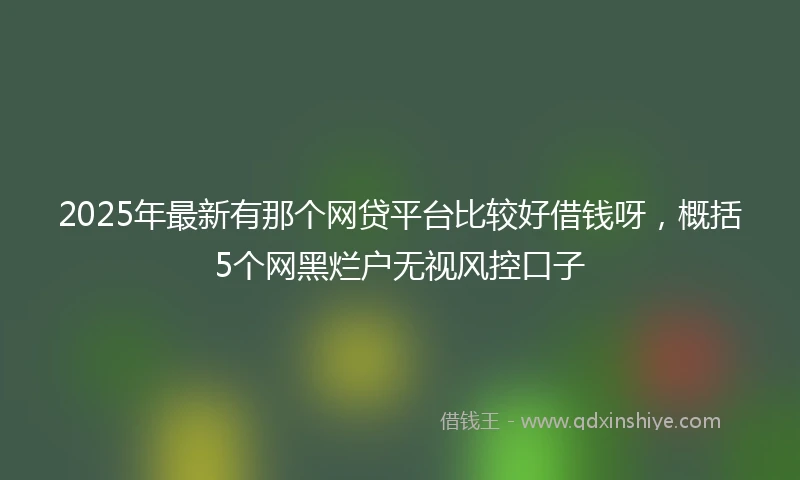 2025年最新有那个网贷平台比较好借钱呀，概括5个网黑烂户无视风控口子