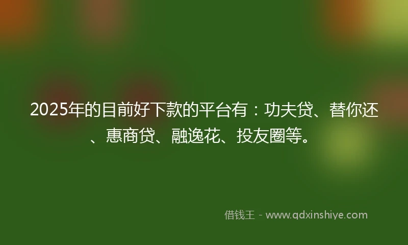 2025年的目前好下款的平台有：功夫贷、替你还、惠商贷、融逸花、投友圈等。