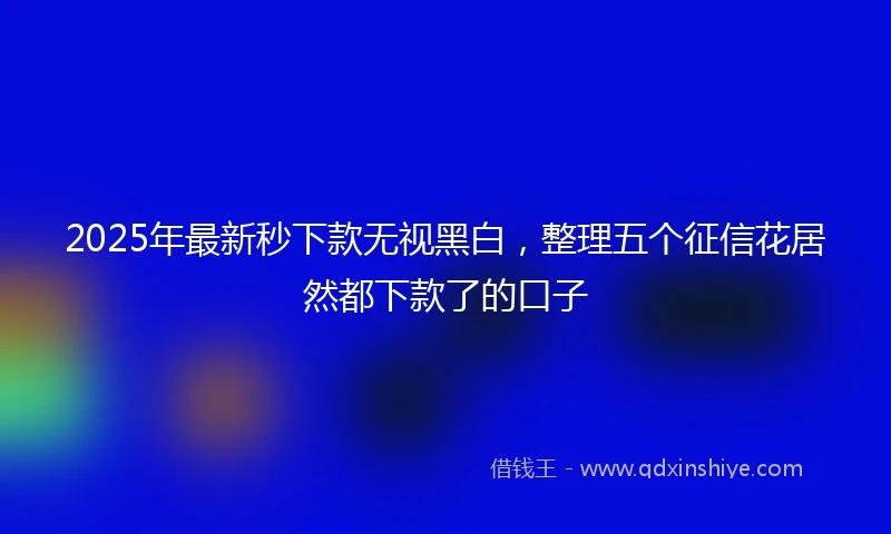2025年最新秒下款无视黑白，整理五个征信花居然都下款了的口子