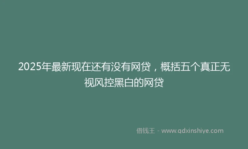 2025年最新现在还有没有网贷，概括五个真正无视风控黑白的网贷