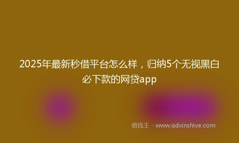 2025年最新秒借平台怎么样，归纳5个无视黑白必下款的网贷app