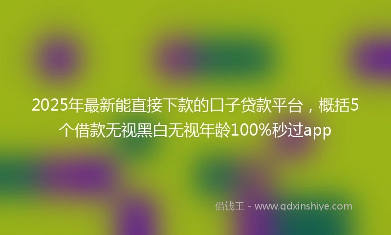 2025年最新能直接下款的口子贷款平台，概括5个借款无视黑白无视年龄100%秒过app