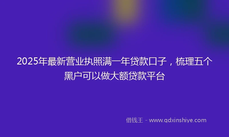 2025年最新营业执照满一年贷款口子，梳理五个黑户可以做大额贷款平台