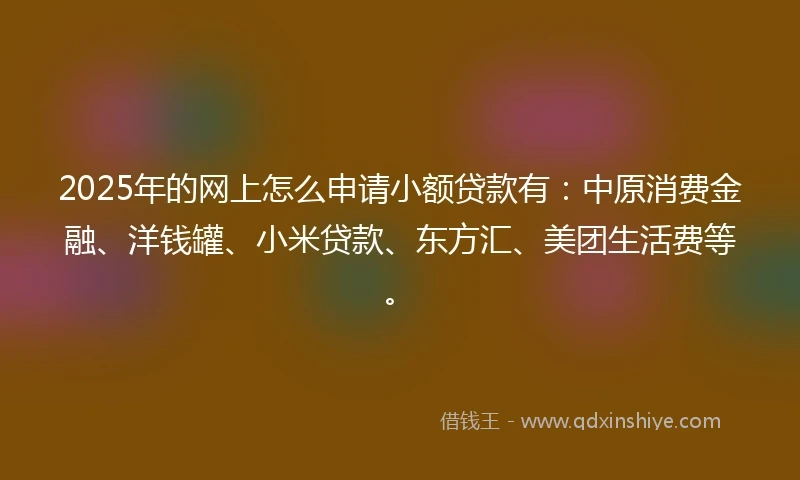 2025年的网上怎么申请小额贷款有：中原消费金融、洋钱罐、小米贷款、东方汇、美团生活费等。
