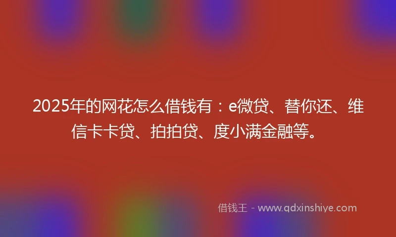 2025年的网花怎么借钱有：e微贷、替你还、维信卡卡贷、拍拍贷、度小满金融等。