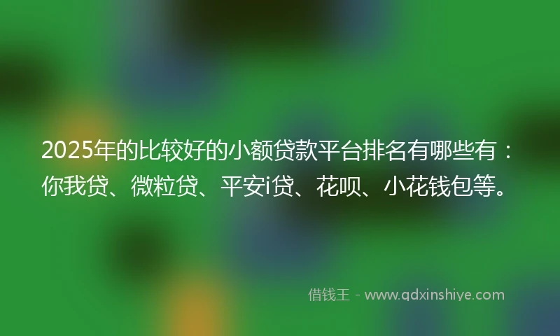 2025年的比较好的小额贷款平台排名有哪些有：你我贷、微粒贷、平安i贷、花呗、小花钱包等。