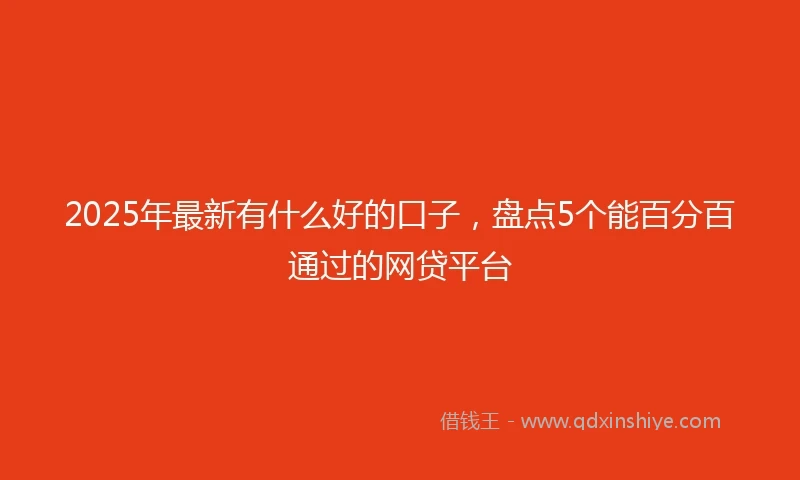 2025年最新有什么好的口子，盘点5个能百分百通过的网贷平台