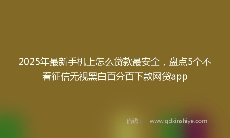 2025年最新手机上怎么贷款最安全，盘点5个不看征信无视黑白百分百下款网贷app