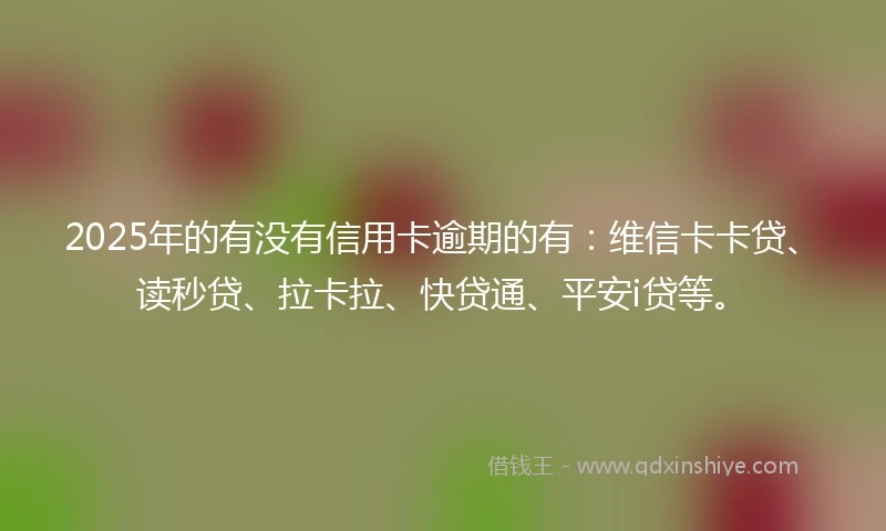 2025年的有没有信用卡逾期的有：维信卡卡贷、读秒贷、拉卡拉、快贷通、平安i贷等。