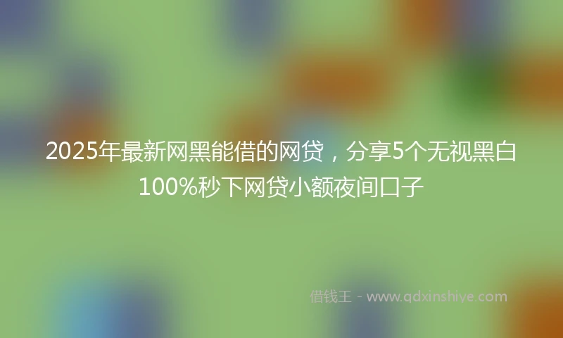 2025年最新网黑能借的网贷,分享5个无视黑白100%秒下网贷小额夜间口子