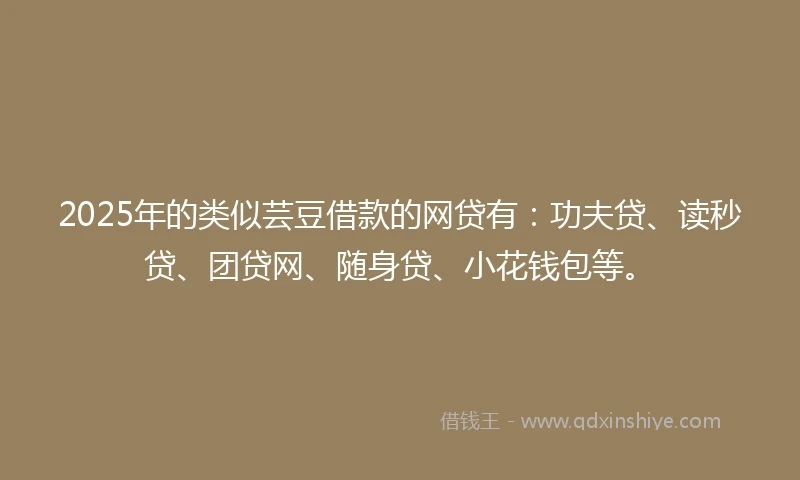 2025年的类似芸豆借款的网贷有：功夫贷、读秒贷、团贷网、随身贷、小花钱包等。