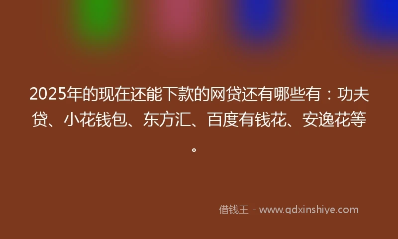 2025年的现在还能下款的网贷还有哪些有：功夫贷、小花钱包、东方汇、百度有钱花、安逸花等。