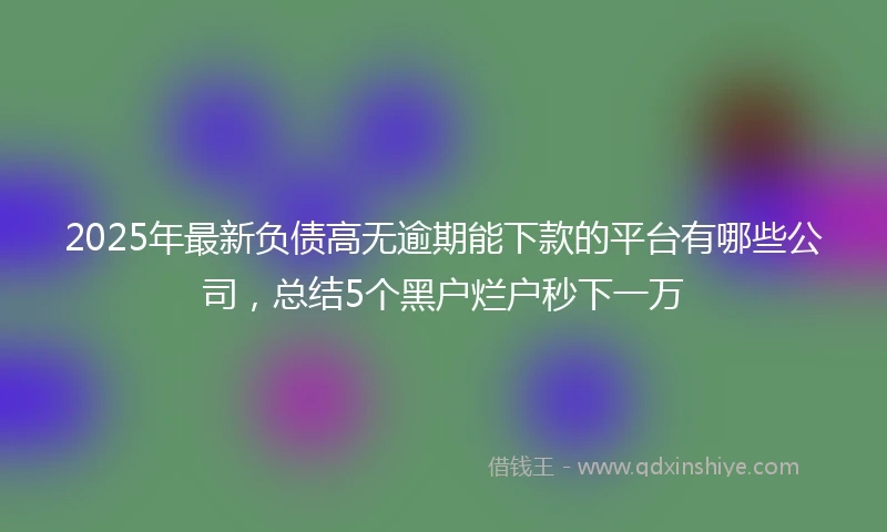 2025年最新负债高无逾期能下款的平台有哪些公司，总结5个黑户烂户秒下一万
