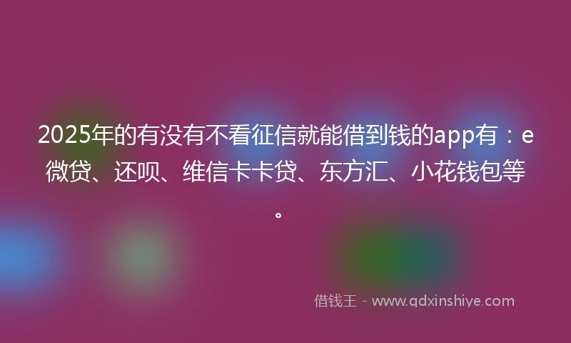 2025年的有没有不看征信就能借到钱的app有：e微贷、还呗、维信卡卡贷、东方汇、小花钱包等。