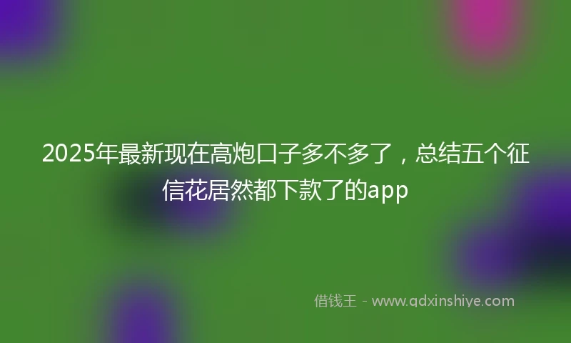 2025年最新现在高炮口子多不多了，总结五个征信花居然都下款了的app