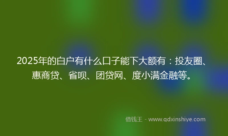 2025年的白户有什么口子能下大额有：投友圈、惠商贷、省呗、团贷网、度小满金融等。