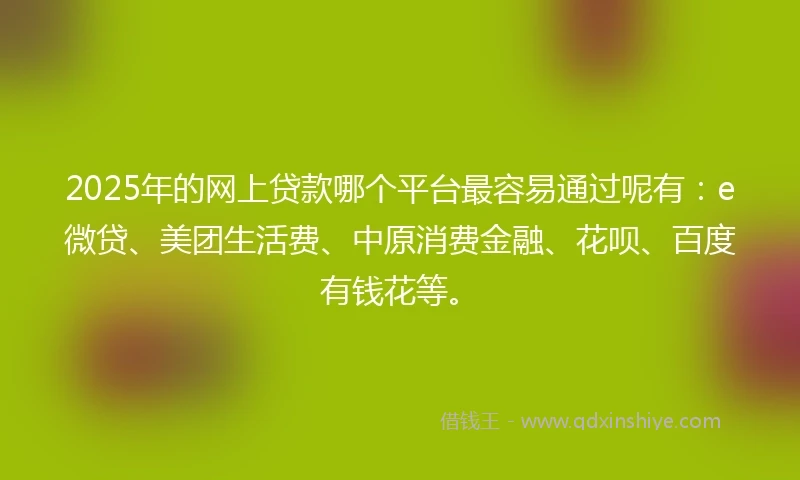 2025年的网上贷款哪个平台最容易通过呢有：e微贷、美团生活费、中原消费金融、花呗、百度有钱花等。